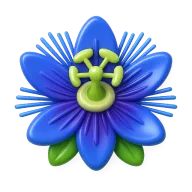Chrysin (Pasiflora Ekstresi) ikonu