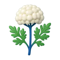 Cnidium Monnieri ikonu